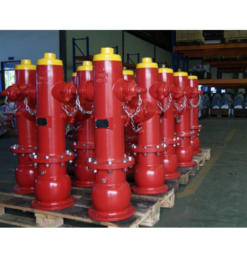 Họng cứu hỏa, họng chữa cháy D100 x 2D65