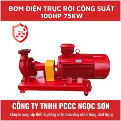 Bơm điện trục rời công suất 100hp 75kw