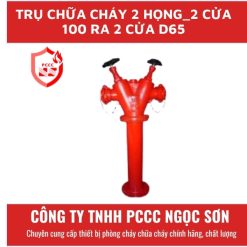 Trụ chữa cháy 2 họng_2 cửa 100 ra 2 cửa D65