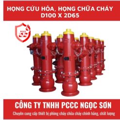 Họng cứu hỏa, họng chữa cháy D100 x 2D65
