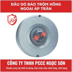 Đầu dò báo trộm hồng ngoại áp trần