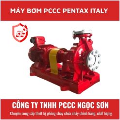 Máy bơm pccc pentax Italy