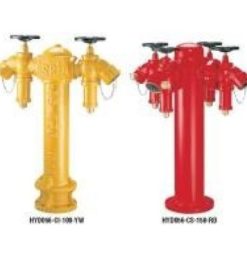 Trụ cấp nước chữa cháy DN100-DN150 hiệu Sri-Malaysia