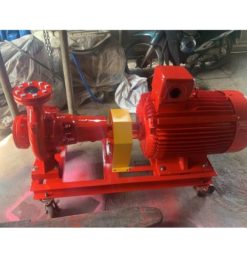 Bơm điện trục rời công suất 100hp 75kw